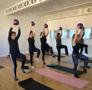 krishnamacharya-hatha-yoga-valence krishnamacharya-hatha-yoga-valence